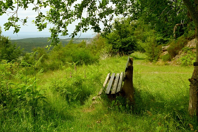 动员们的鼓 动员们的鼓