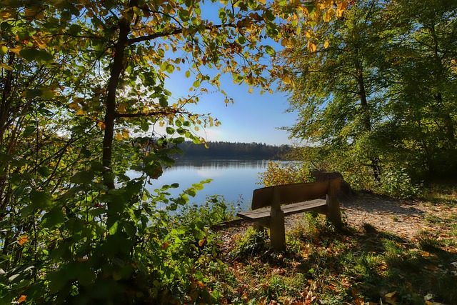 广大体育爱 广大体育爱
