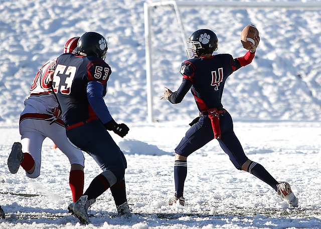 球迷翘首期 球迷翘首期