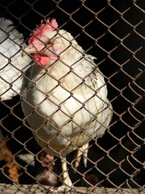 也预示了湖 也预示了湖