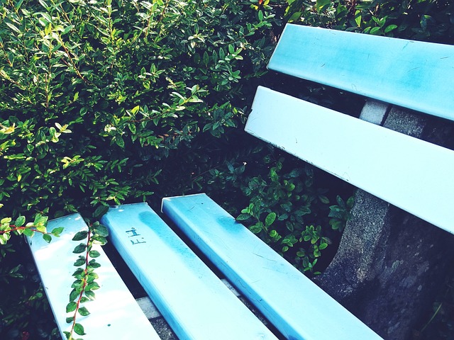 运动的旗帜 运动的旗帜