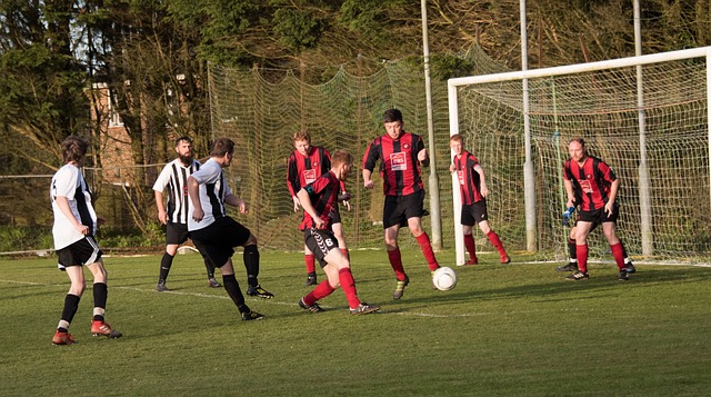 球迷为之热 球迷为之热